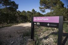 Seis rutas de senderismo en Formentera para los meses más fríos