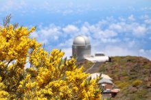 Visitar La Palma: la Isla Bonita es uno de los mejores destinos para viajar a Canarias