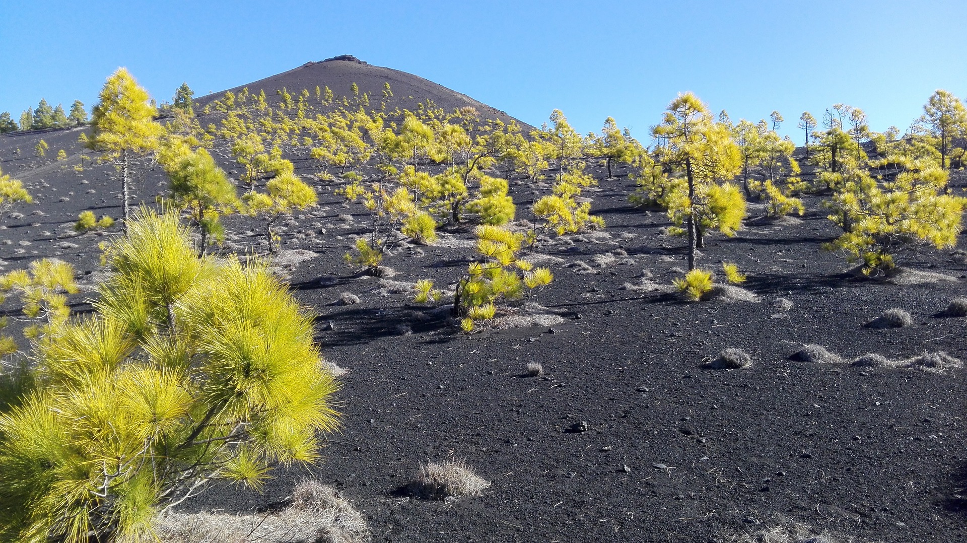 Terreno Volcanico Canarias
