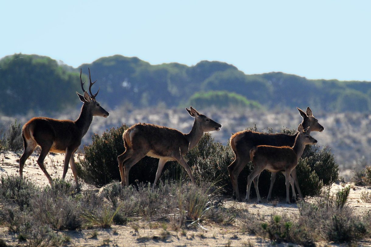 Conoce lugares únicos en Andalucía