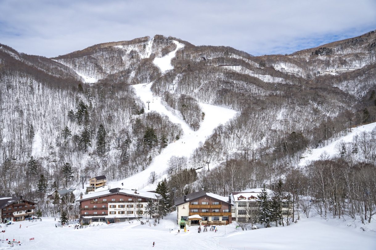 Las montañas Shiga Kogen en Japón, nieve y naturaleza