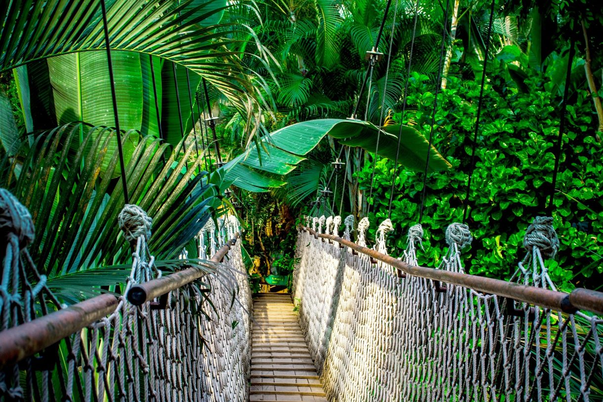 Los puentes colgantes más interesantes del mundo