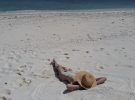Vera, una de las playas nudistas más conocidas de Europa