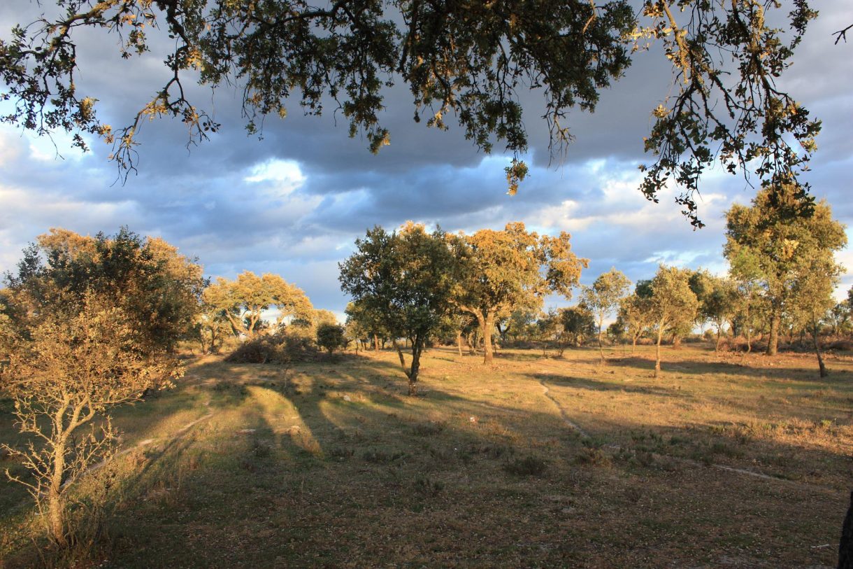 Opciones para disfrutar de Extremadura este verano