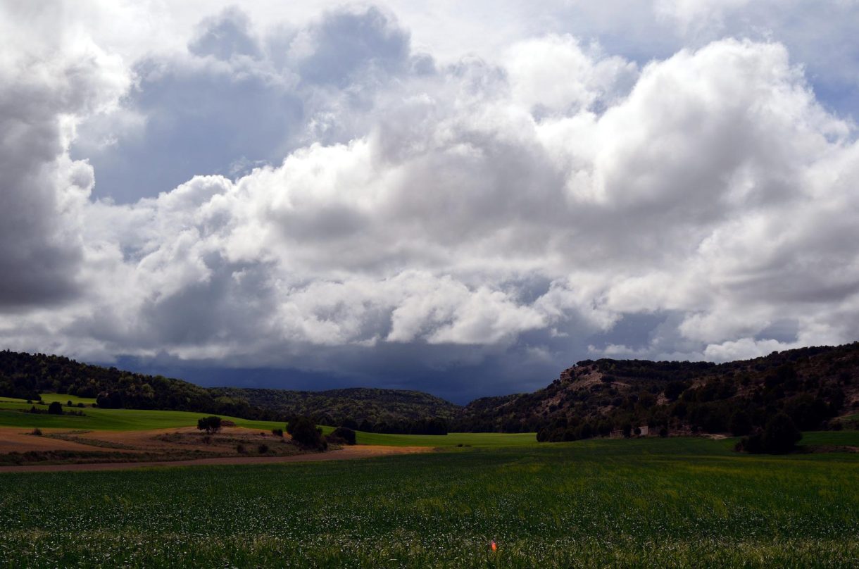 Feria de Ecoturismo de Castilla y León 2022