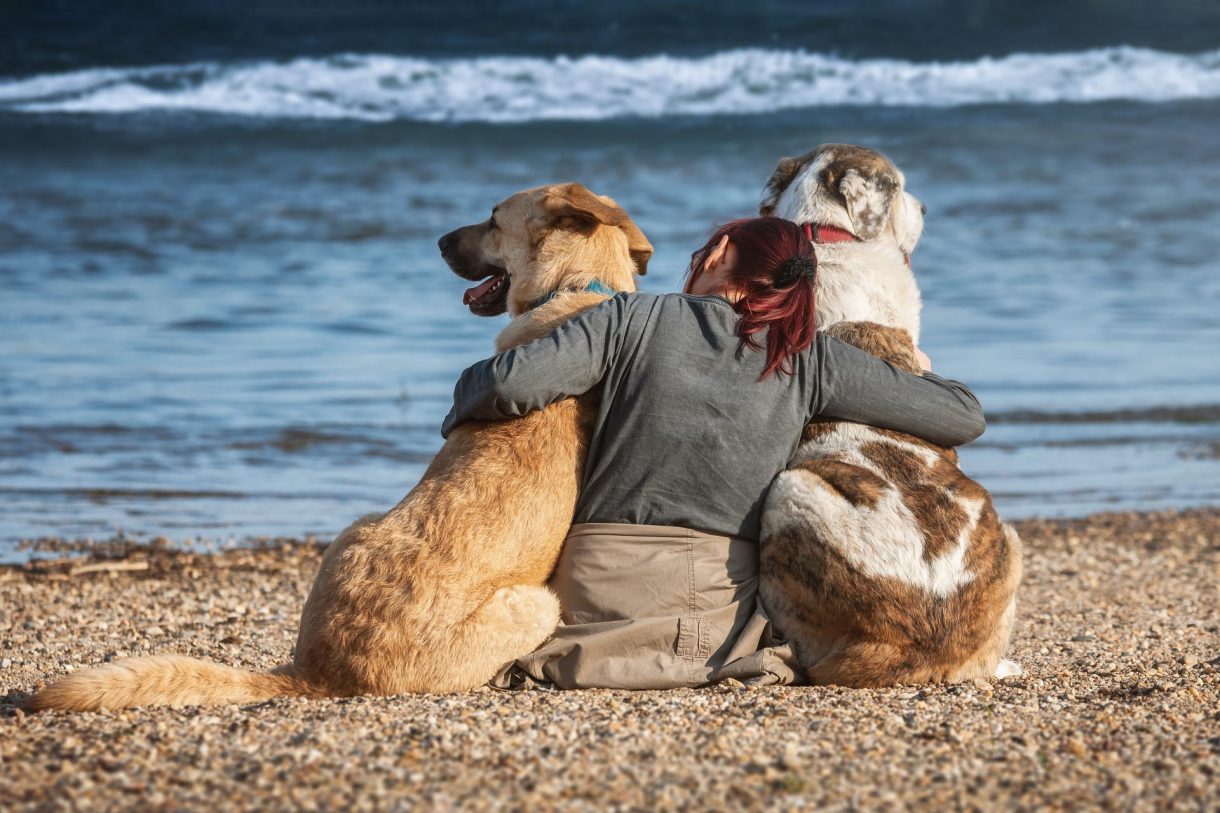 Viajar con mascotas: playas ‘dogfriendly’ en Tarragona