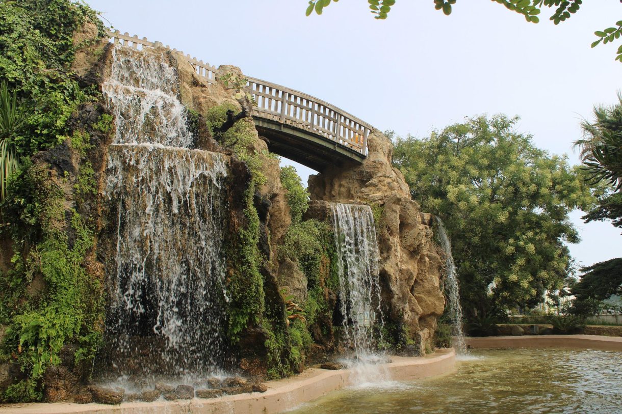 Parques botánicos para conocer en Andalucía