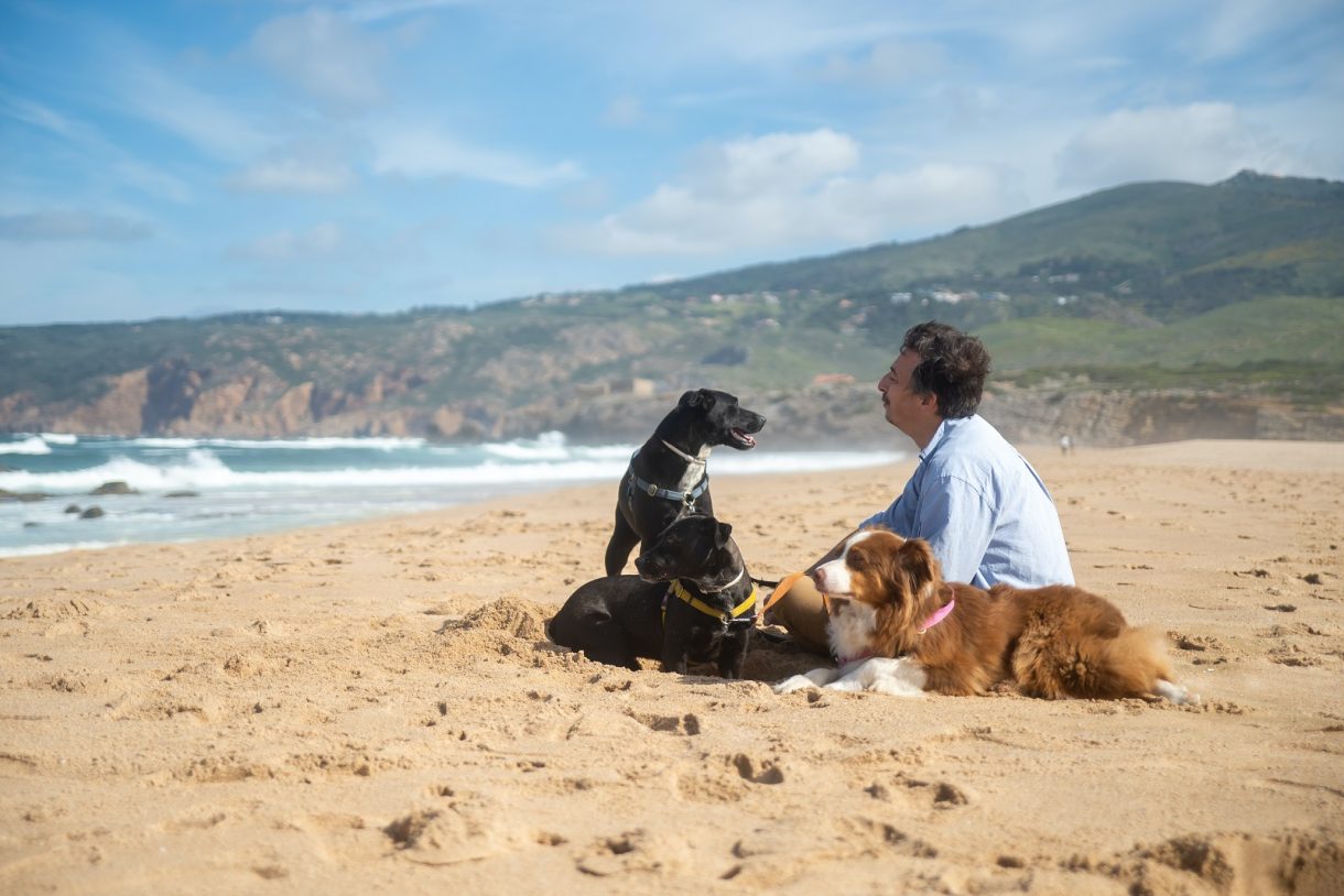 Viajar con mascotas: playas ‘dogfriendly’ en Huelva