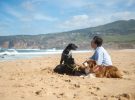 Viajar con mascotas: playas ‘dogfriendly’ en Huelva