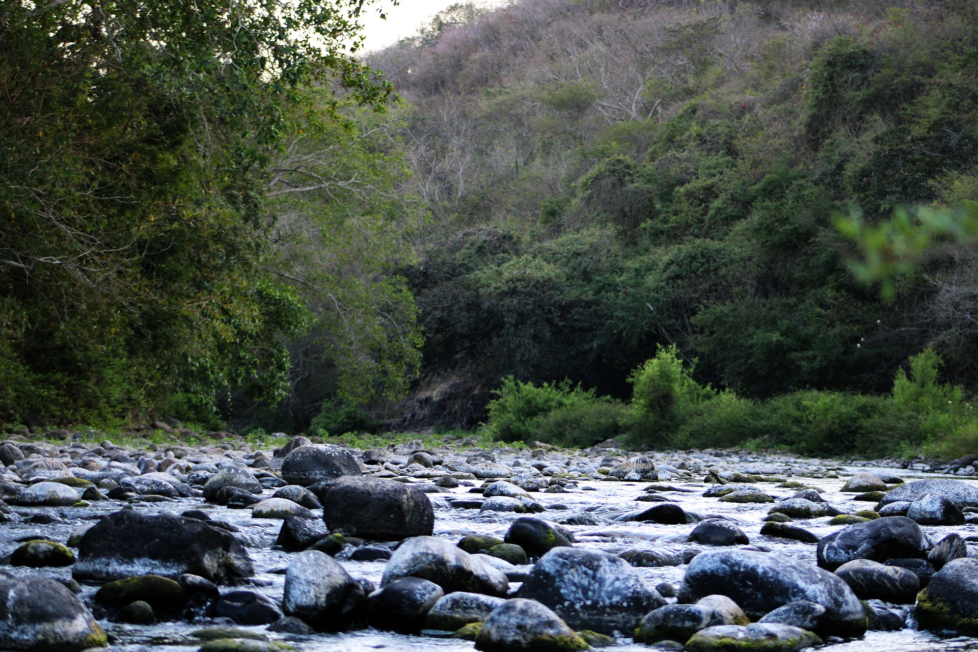 River 