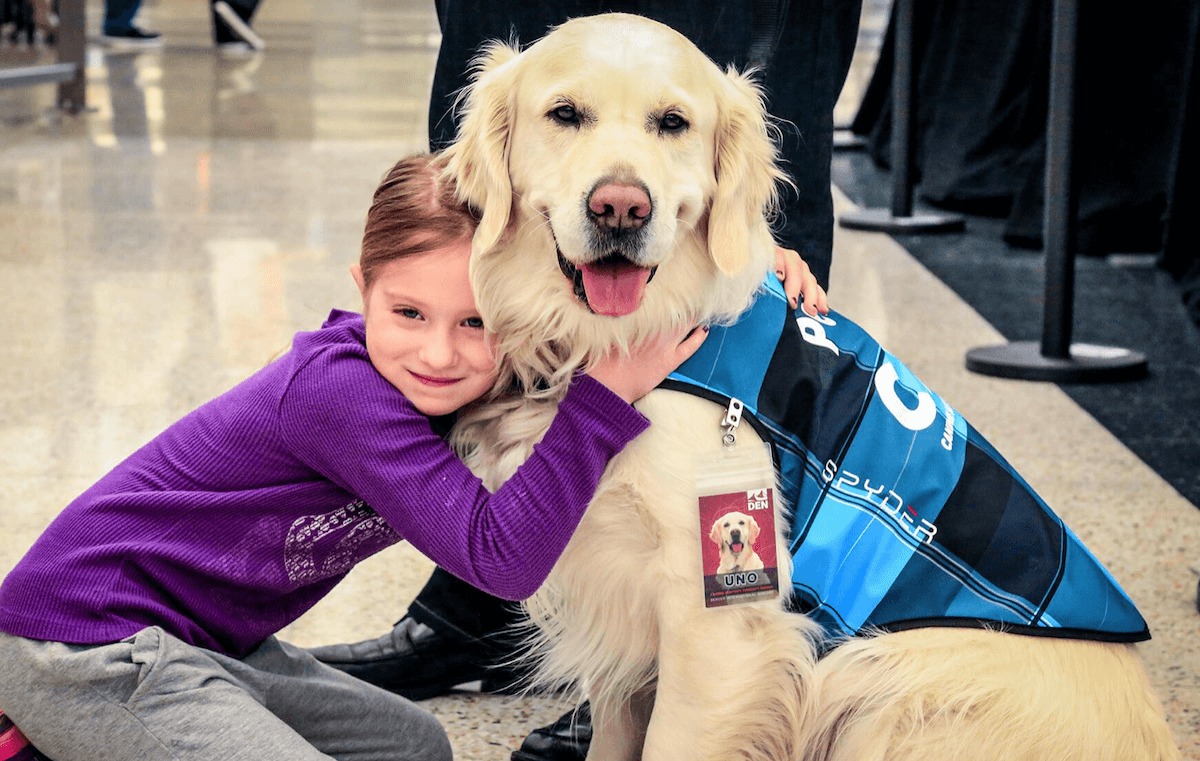 Viajar con mascotas: Salamanca, ciudad ‘petfriendly’