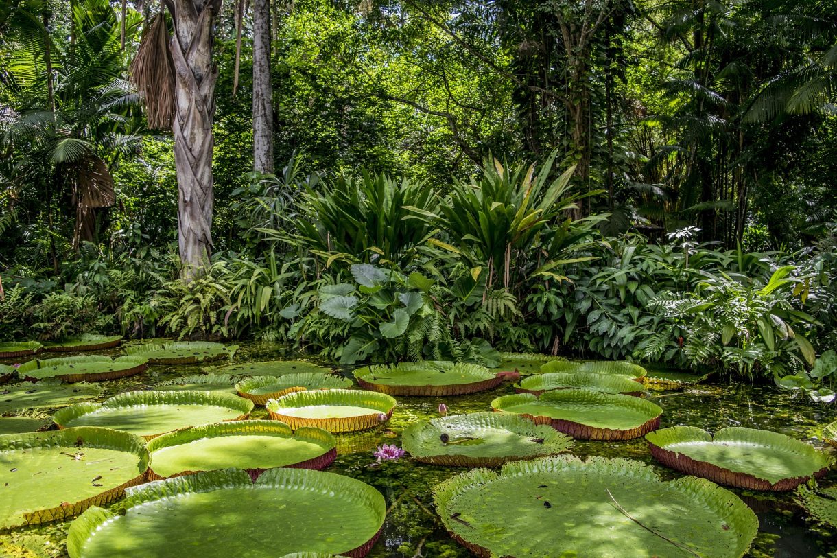 Lugares para conocer en solitario por Brasil