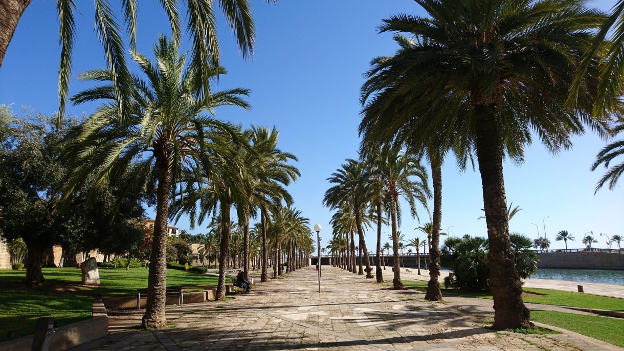 Palma de Mallorca es mucho más que maravillosas playas y en otoño puedes descubrirlo