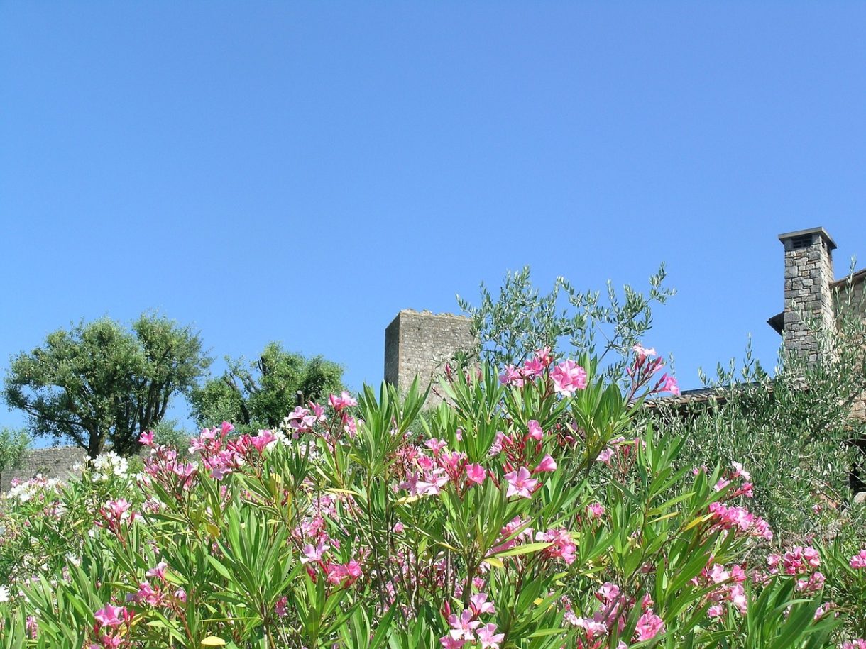 Tres motivos para visitar la Toscana en primavera