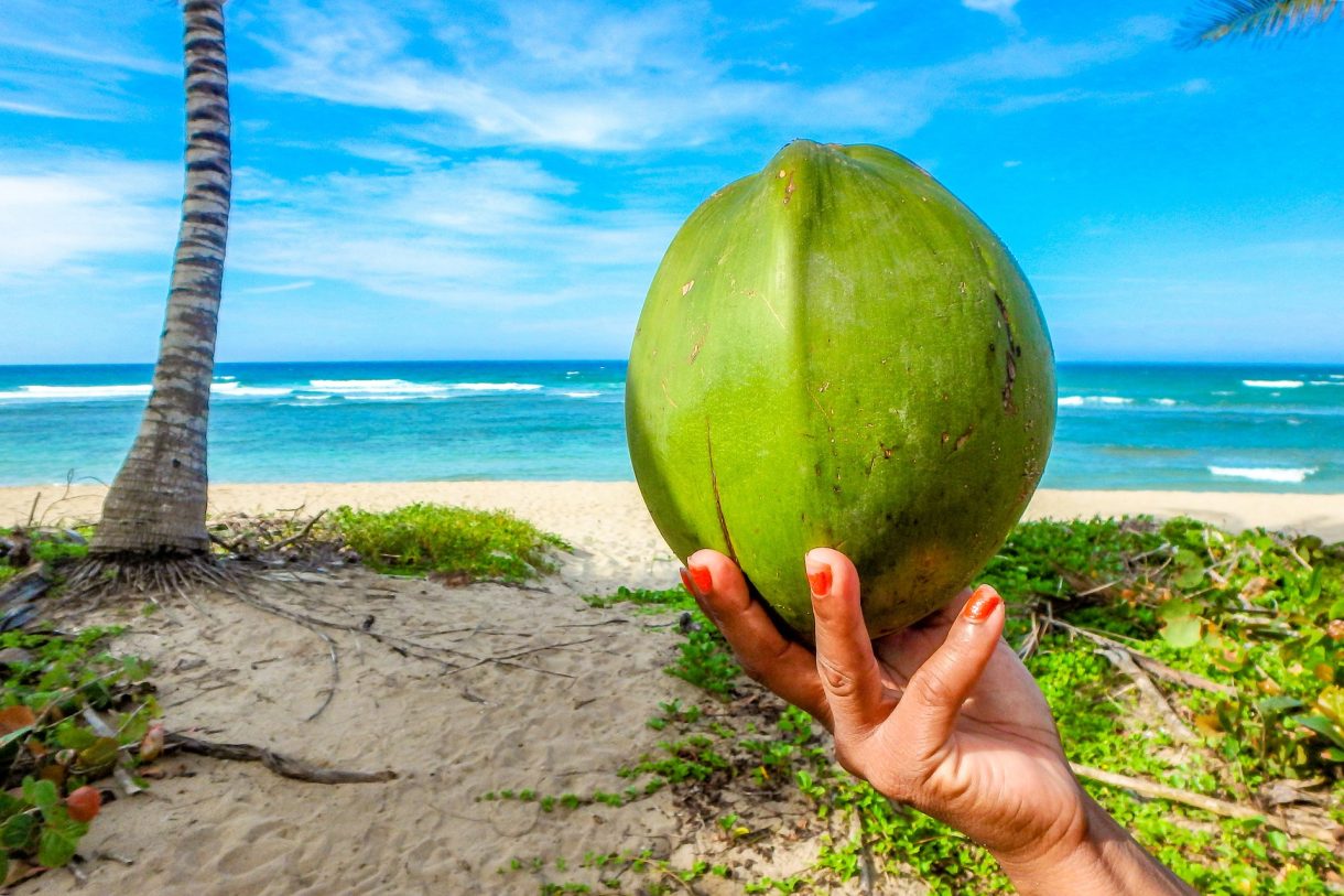 Conoce la gastronomía tradicional de las Islas Seychelles