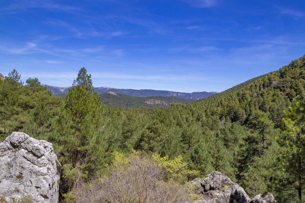 Escapadas naturales para disfrutar por España