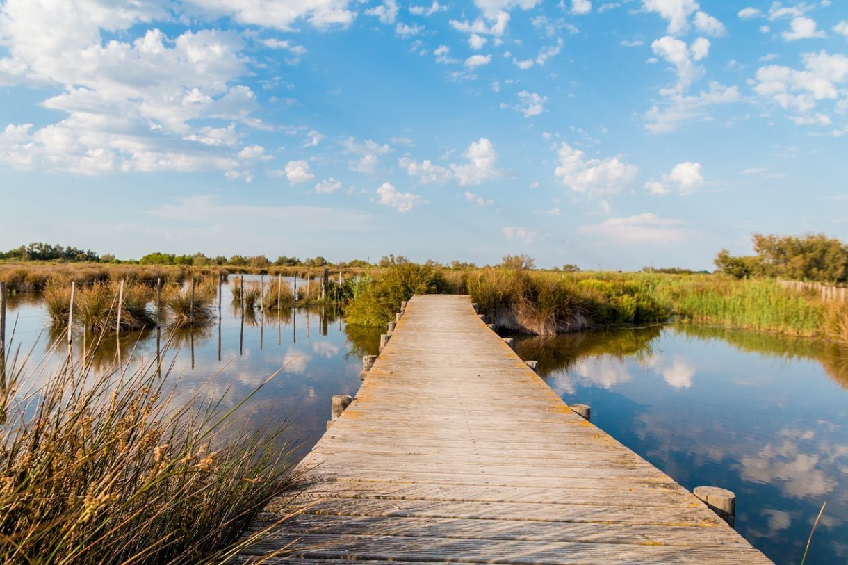 La Camargue, un paraíso en Francia con caballos y paseos en barca