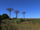 Viaje de aventura para conocer Madagascar