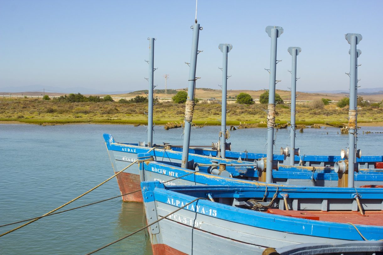 Descubre la Ruta del Atún de Almadraba en Cádiz