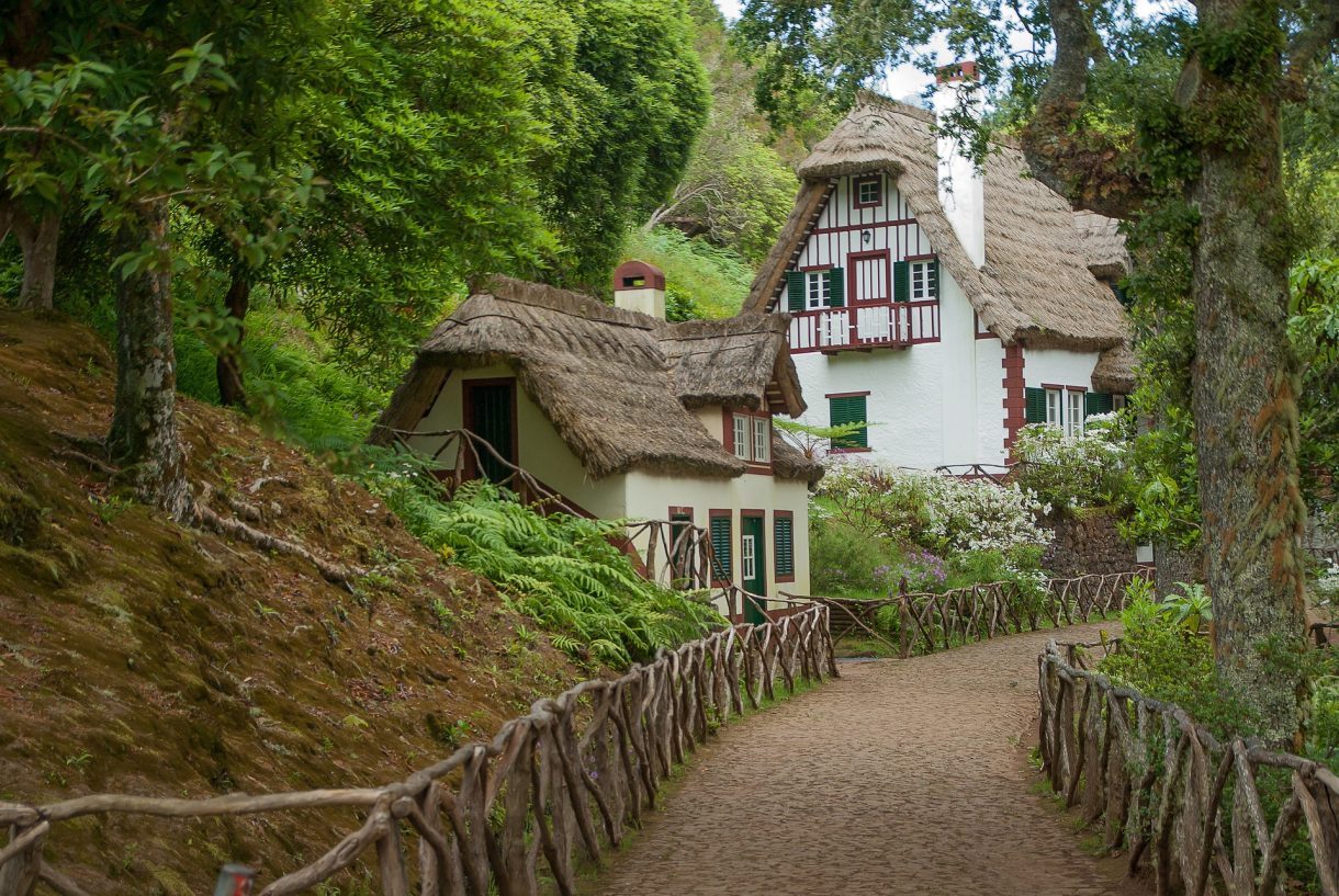 Eventos para disfrutar con la caña de azúcar y su historia en Madeira