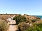 Palma de Mallorca es mucho más que maravillosas playas y en otoño puedes descubrirlo