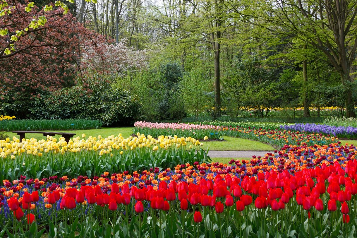 Descubre las mejores zonas verdes de Países Bajos