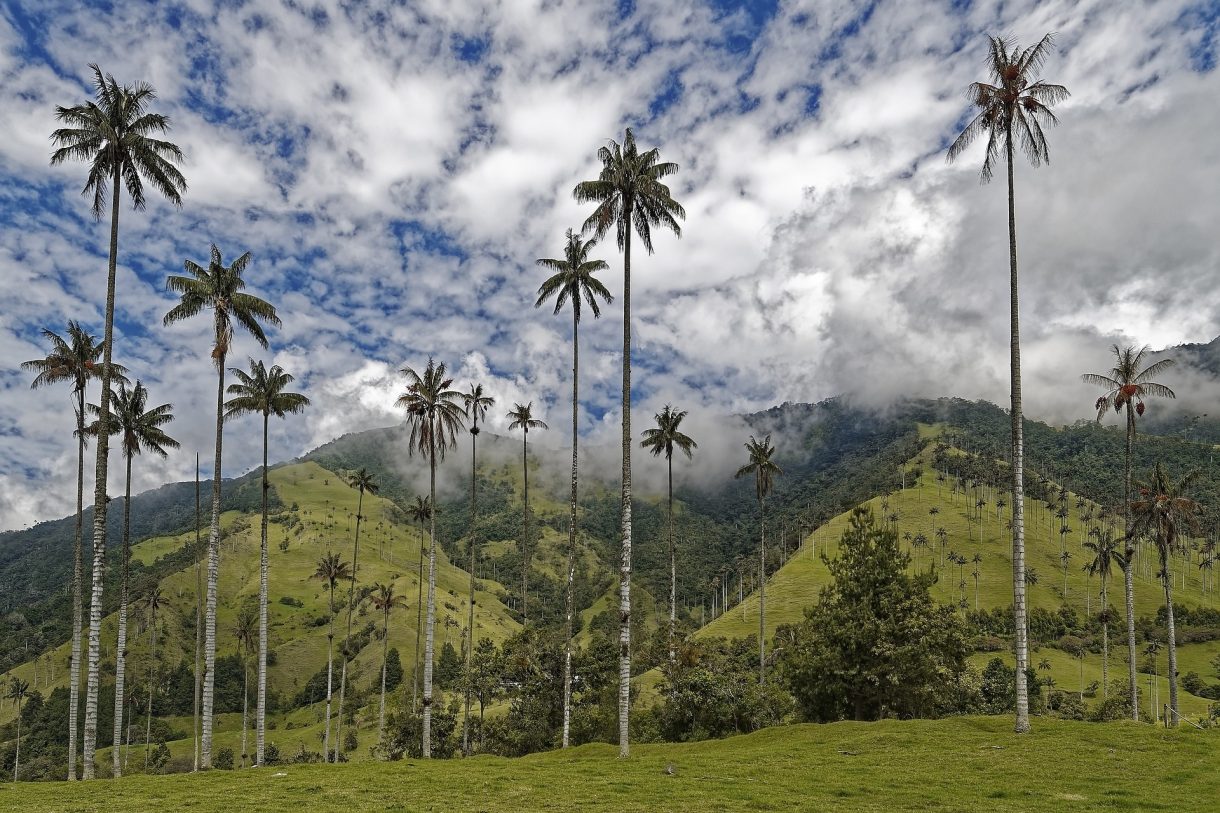 Lugares que no te puedes perder en Colombia durante el año 2024