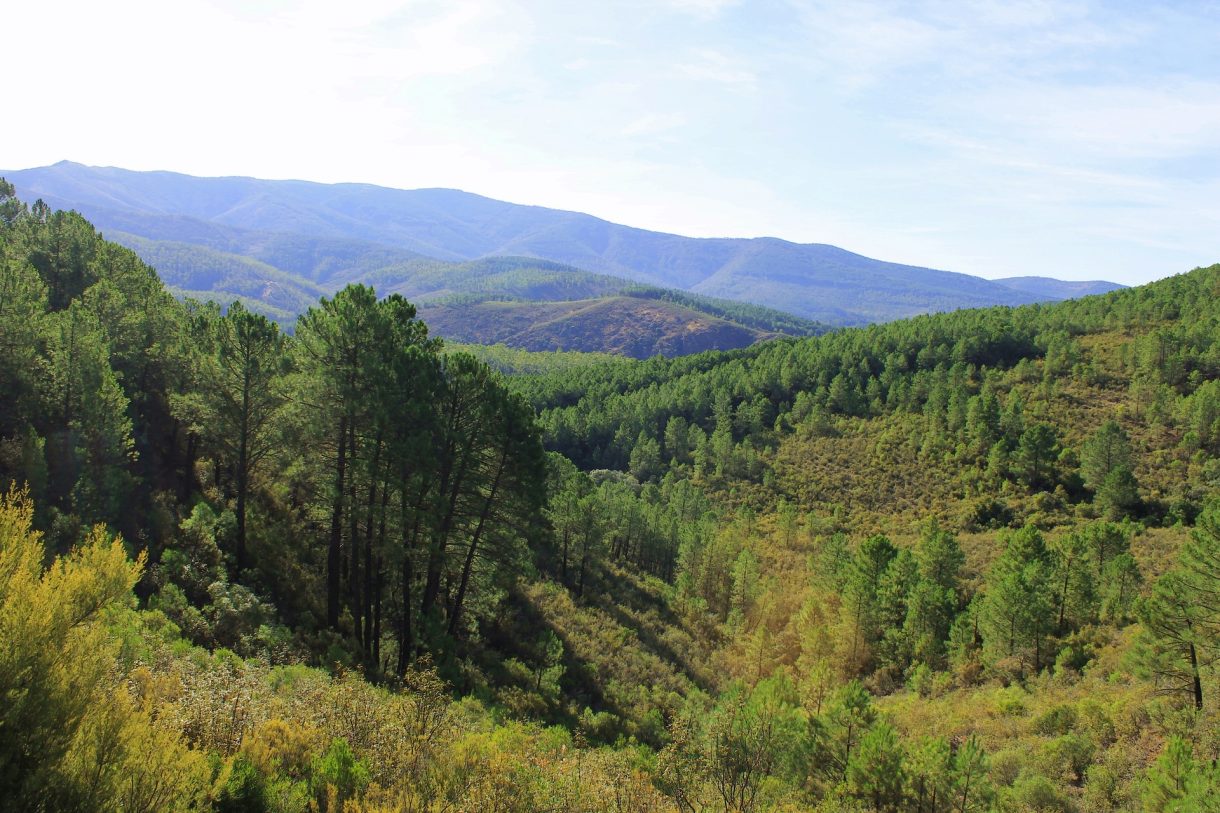 Rutas de senderismo para disfrutar en Extremadura