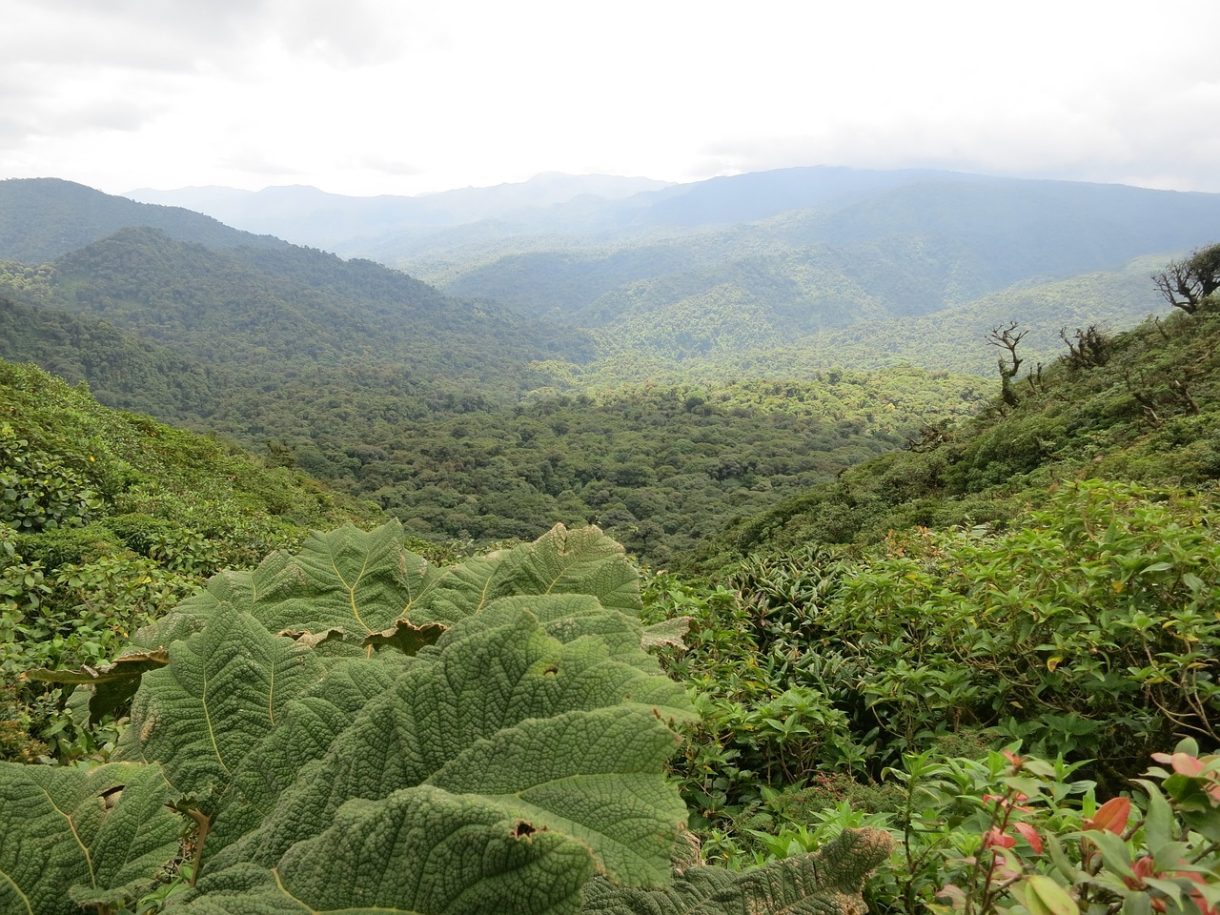 Alojamientos para conectar con la naturaleza en Costa Rica