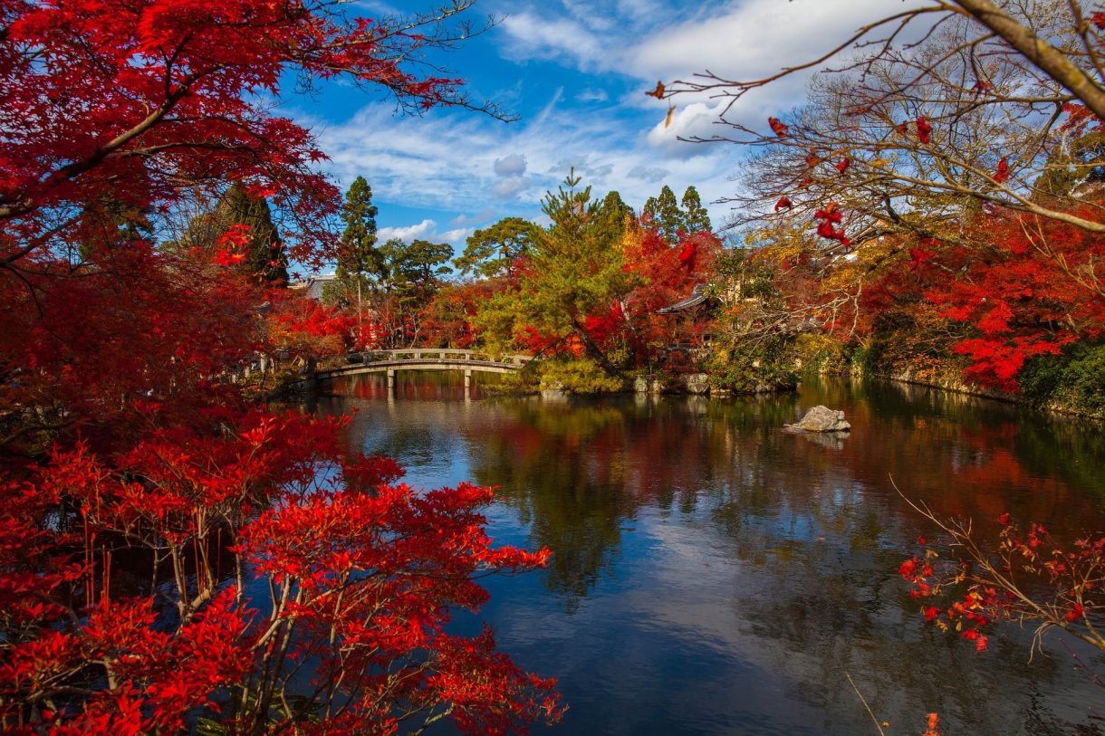 Lugares imperdibles para disfrutar en Kyoto