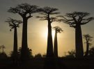 Aventura para conocer Madagascar en pareja