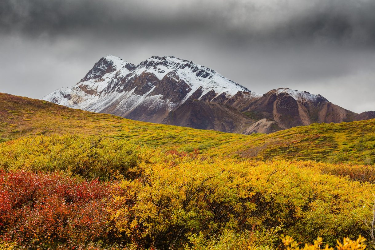 Propuestas para conocer Barrow en Alaska