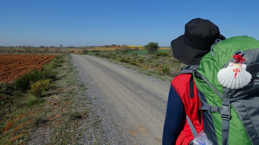 Camino Santiago