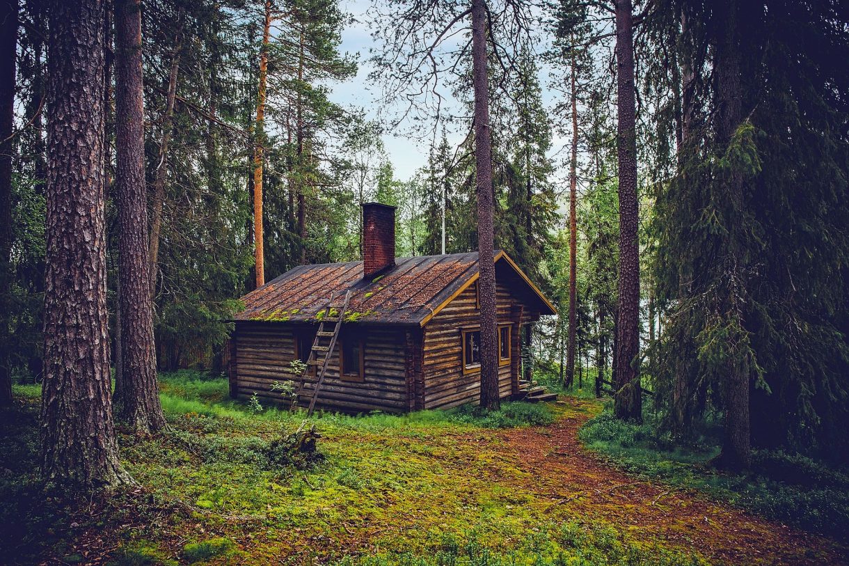 Bosques de Finlandia para disfrutar en vacaciones