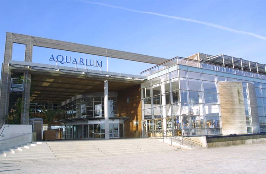 Acuario Larochelle Visita Turismo (4)