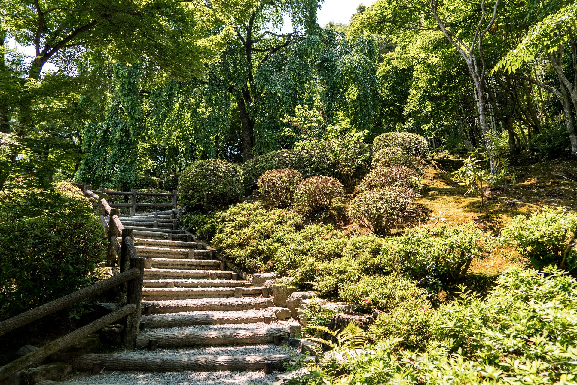 Arashiyama 