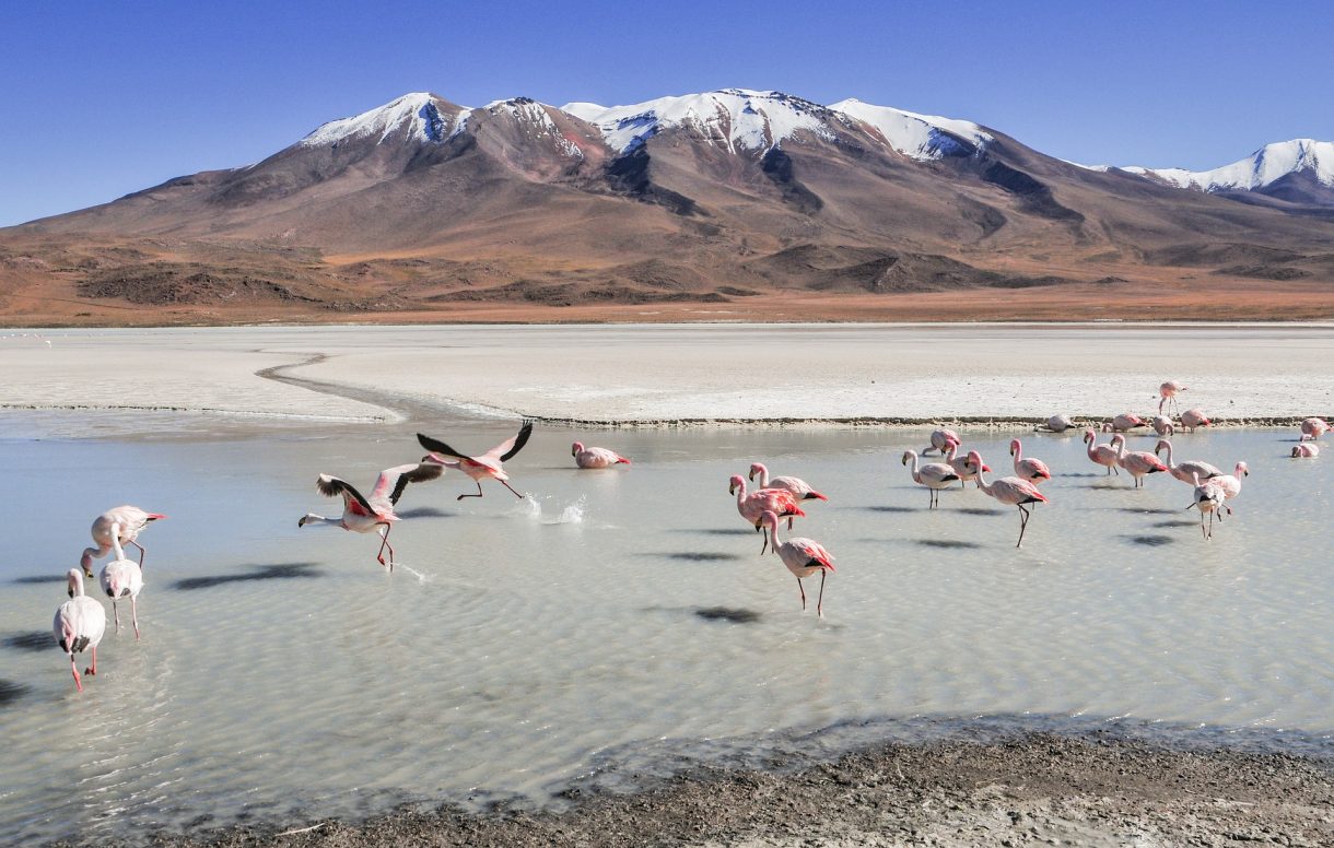 Los mejores parques nacionales para disfrutar en Sudamérica