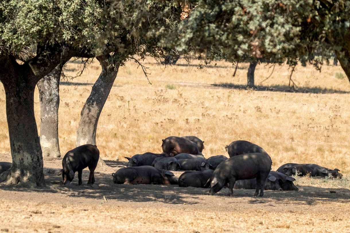 Extremadura en otoño: experiencias y sensaciones para una escapada