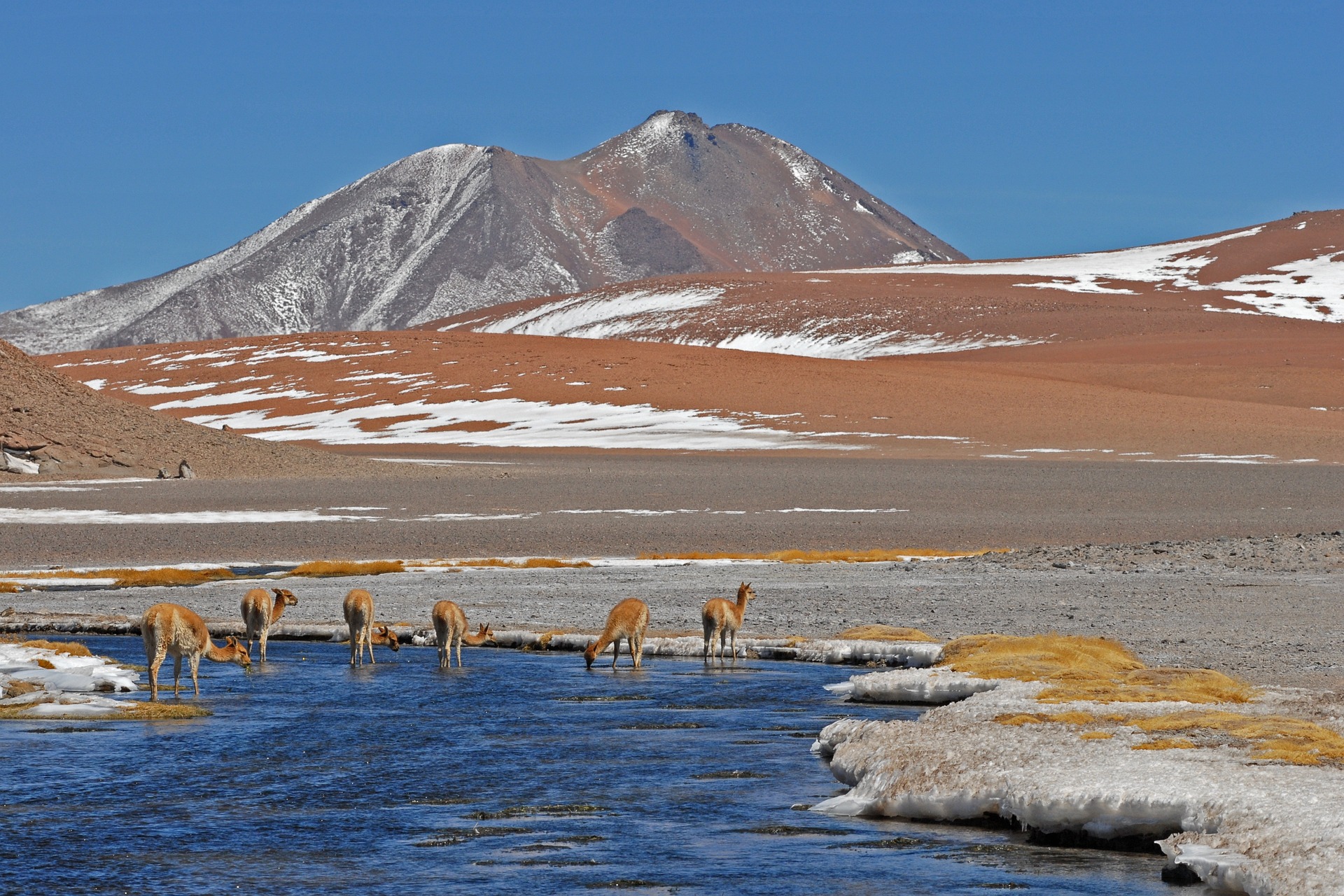 Chile 