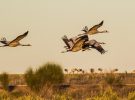 Extremadura en otoño: experiencias y sensaciones para una escapada