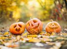 Las tradiciones de Halloween en Irlanda