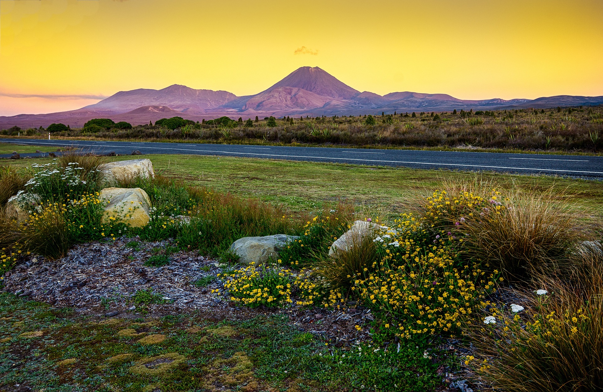 Tongariro 