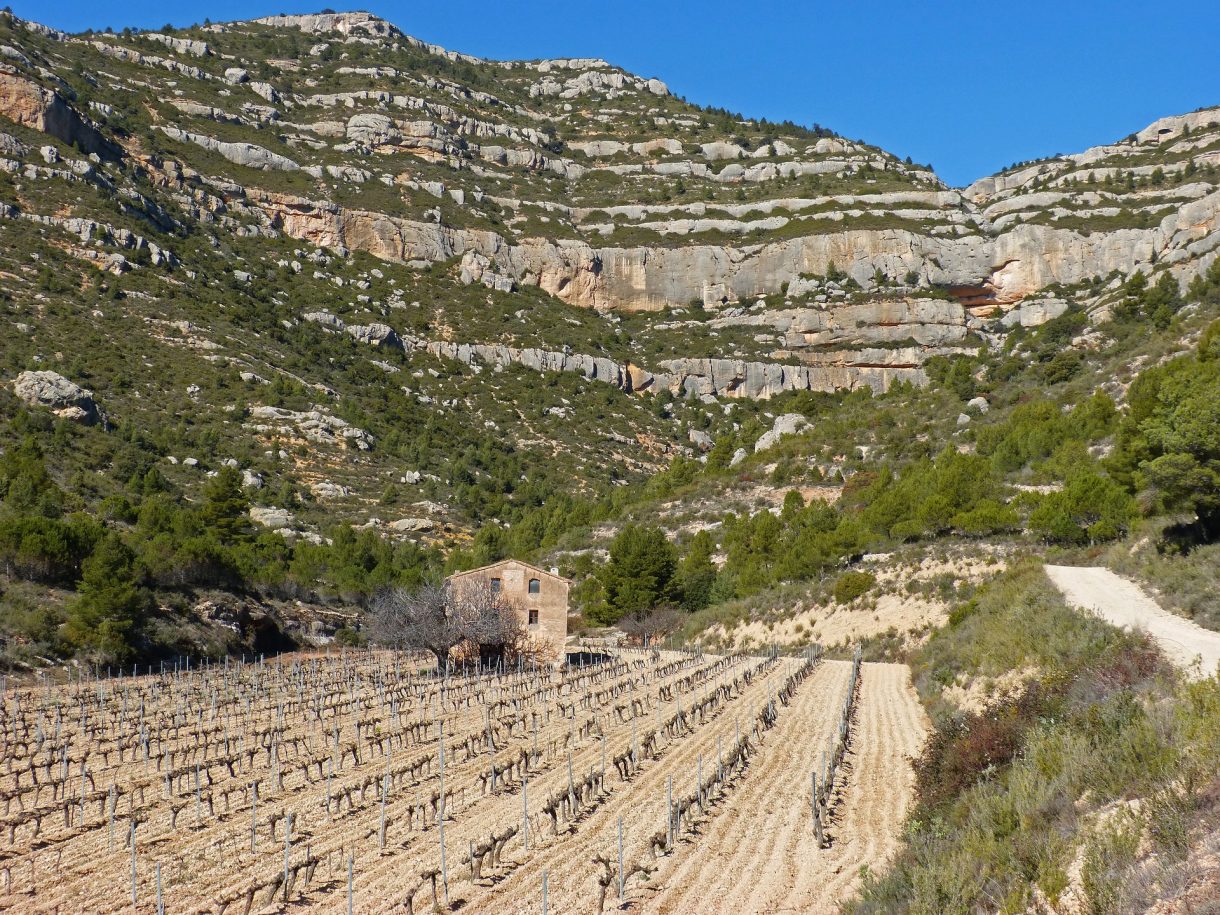 Viñedos de Europa para no perderse en otoño