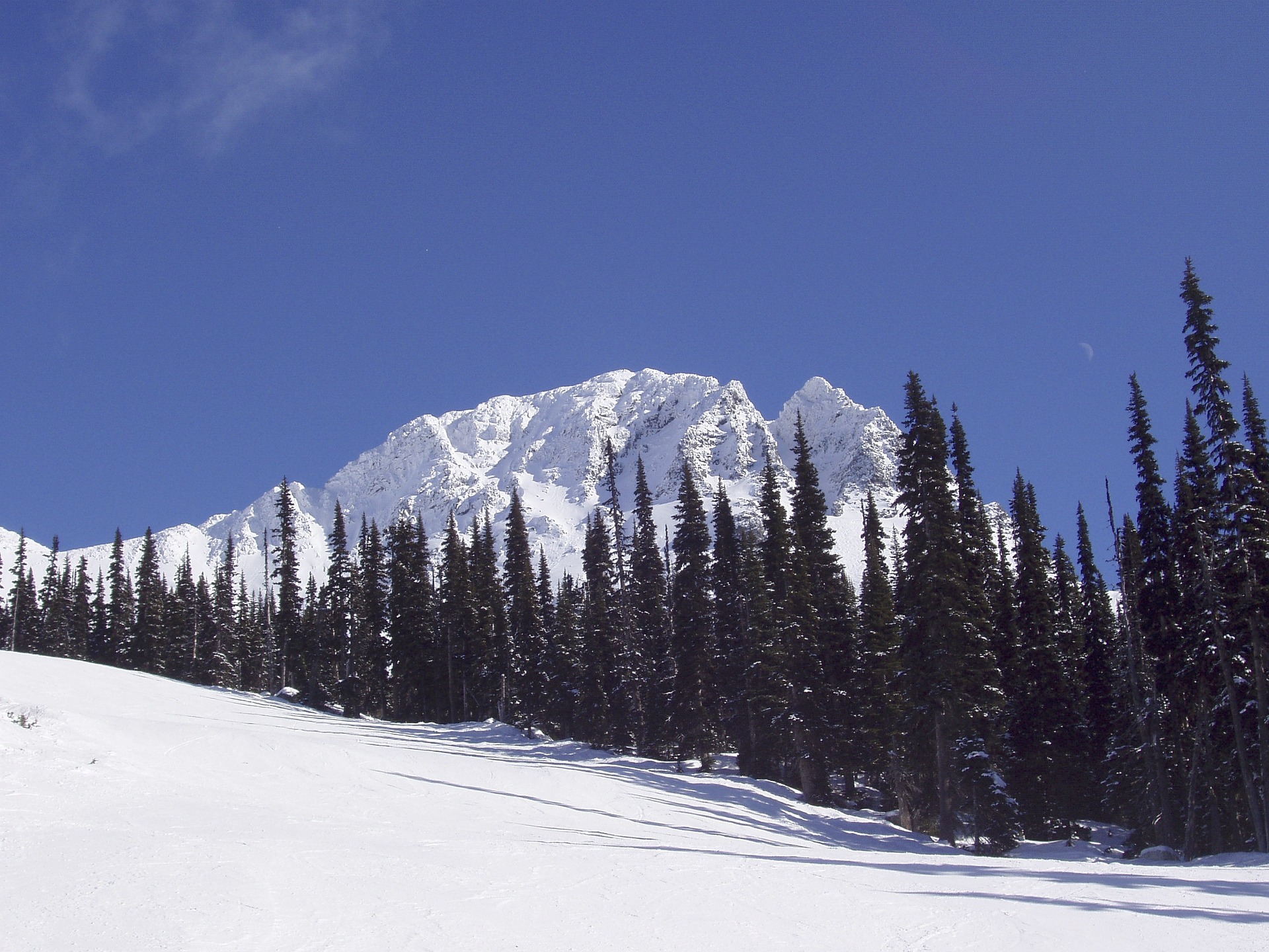 Whistler 