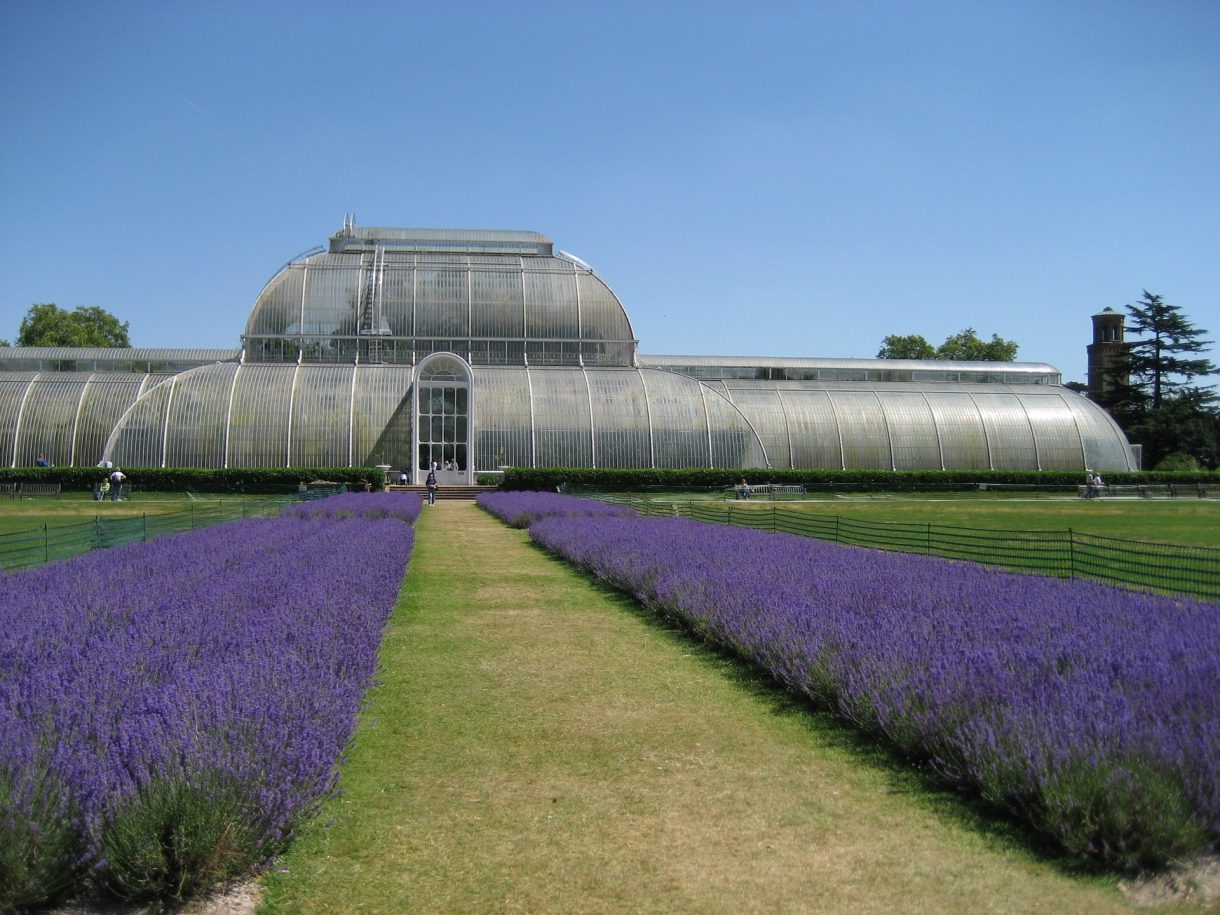 Los 6 Jardines Botánicos de Europa para no perderse