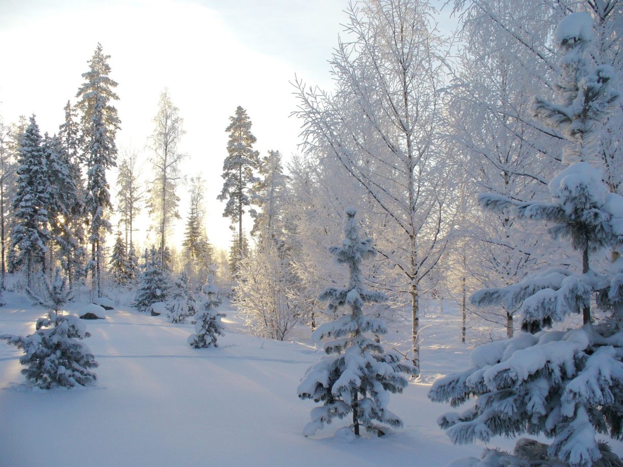 Las mejores navidades en Finlandia