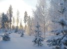 Las mejores navidades en Finlandia