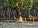 Rincones de Bangladesh para disfrutar de un viaje interesante