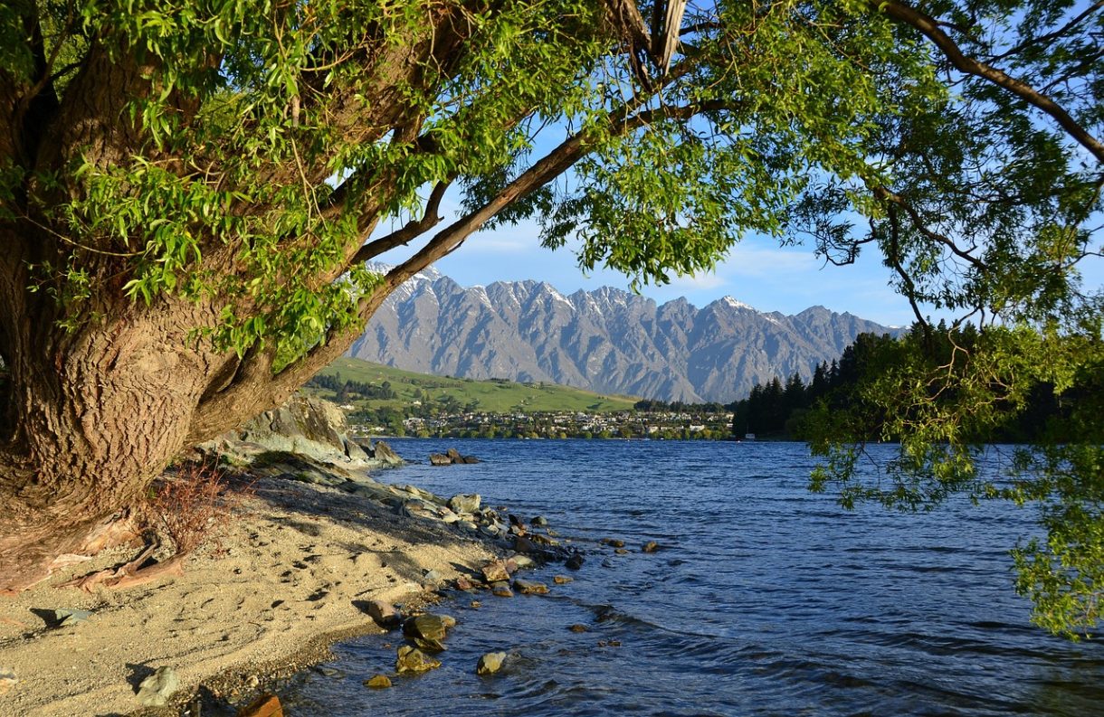 Actividades de aventura en Queenstown, la opción más intensa para visitar Nueva Zelanda