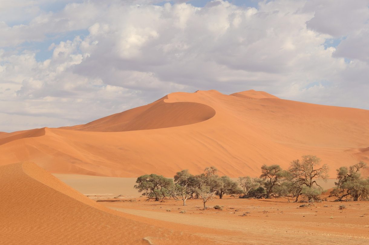 Conoce los 5 desiertos más emblemáticos del mundo